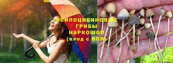 скорость Вязьма
